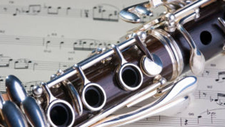 Clarinet or saxophone